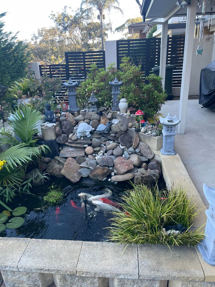 View from the side looking onto pond