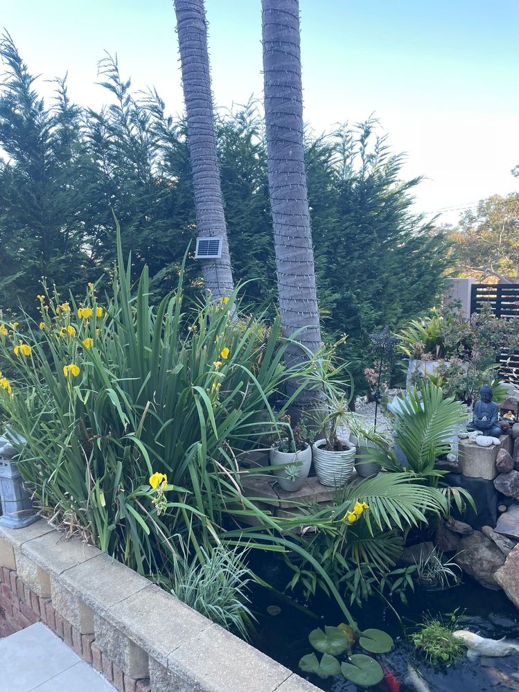 View from the side 1