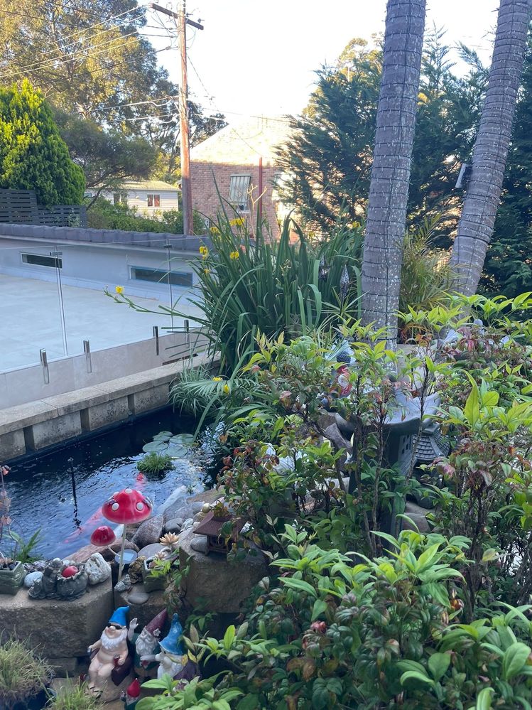 Front garden where the pond is - AFTER