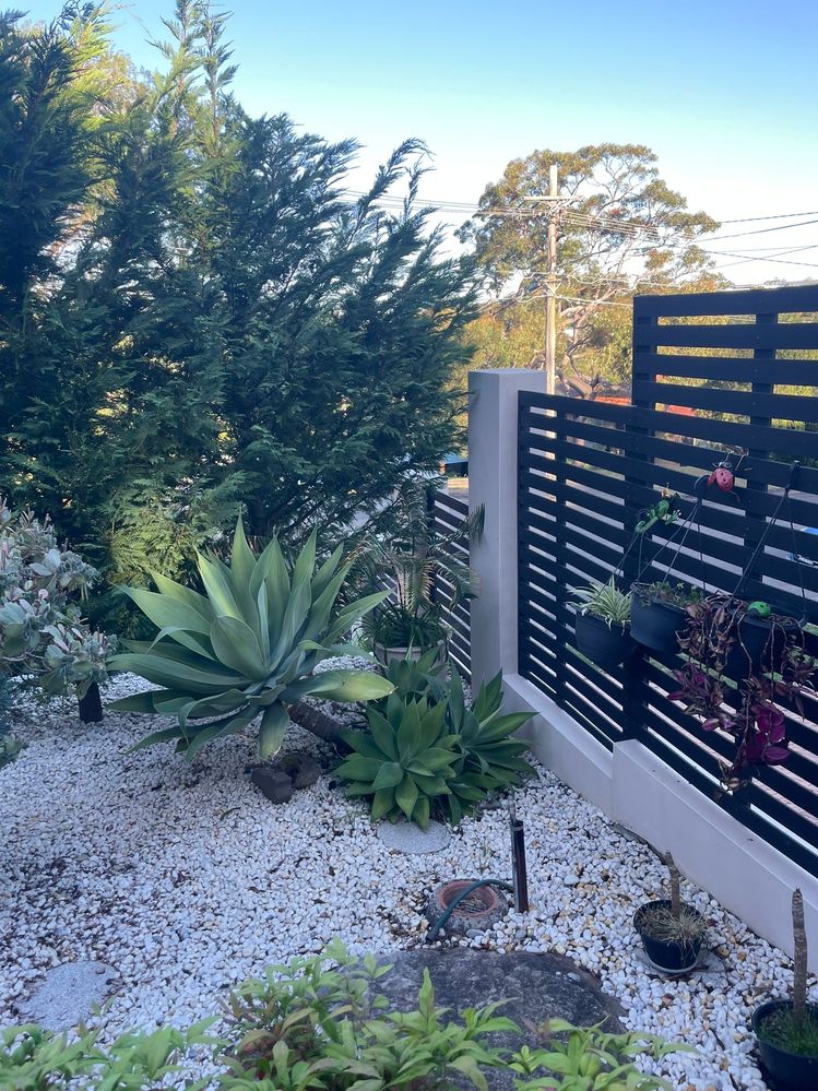 View from the house looking out toward street 3