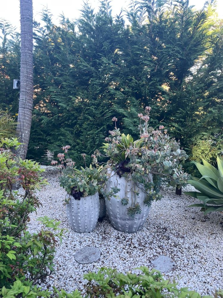 View from the house looking out toward street 2