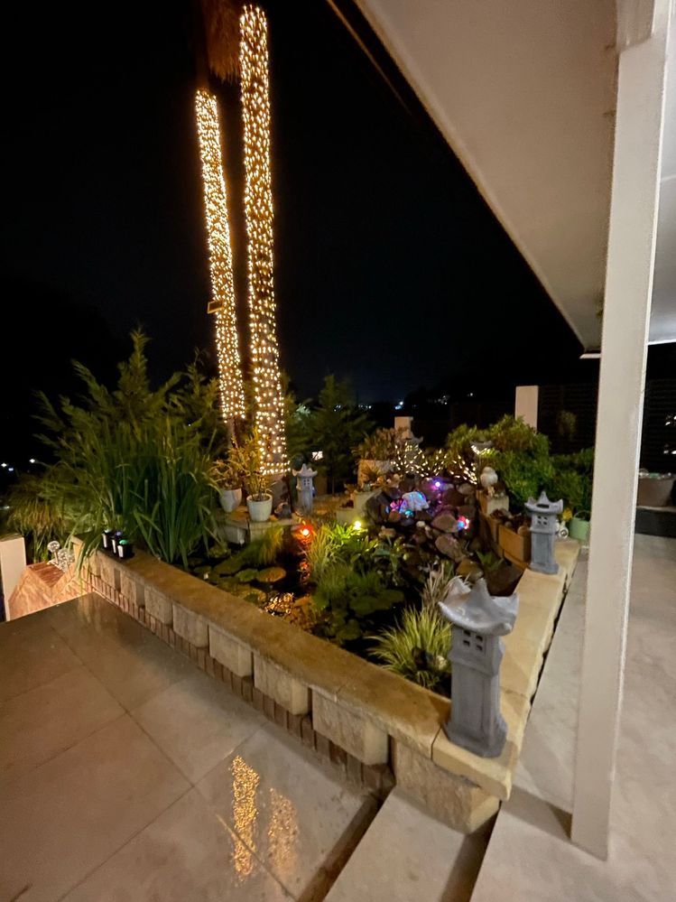 Night time view from the side (before the trees became tall)