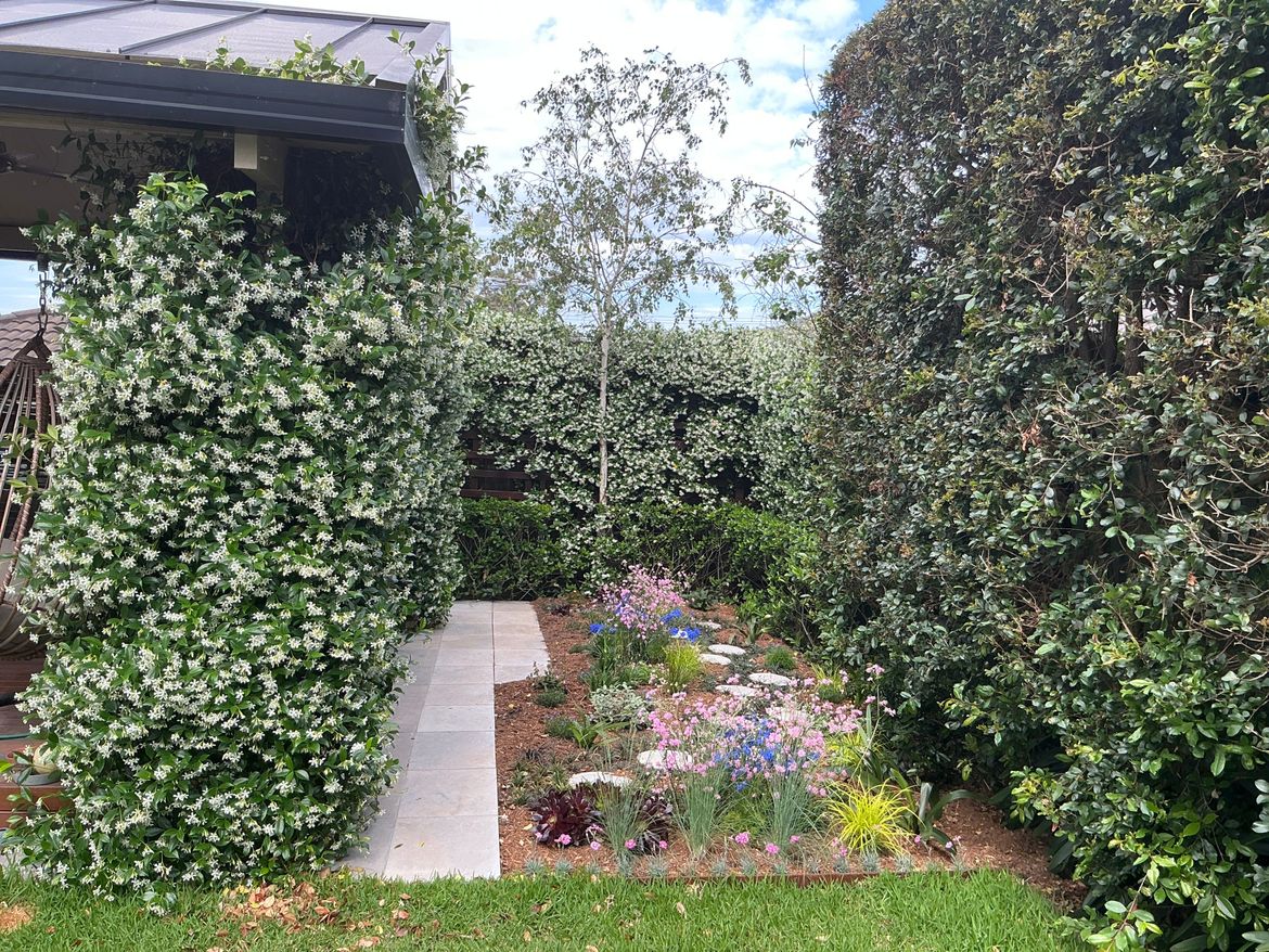 Shady back corner transformed