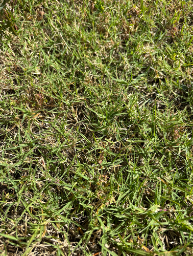 Screenshot 2025-10-17 at 8.42.54 am.png