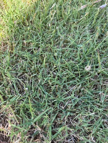 Screenshot 2025-10-17 at 8.42.45 am.png