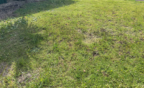 Screenshot 2025-10-17 at 8.43.03 am.png