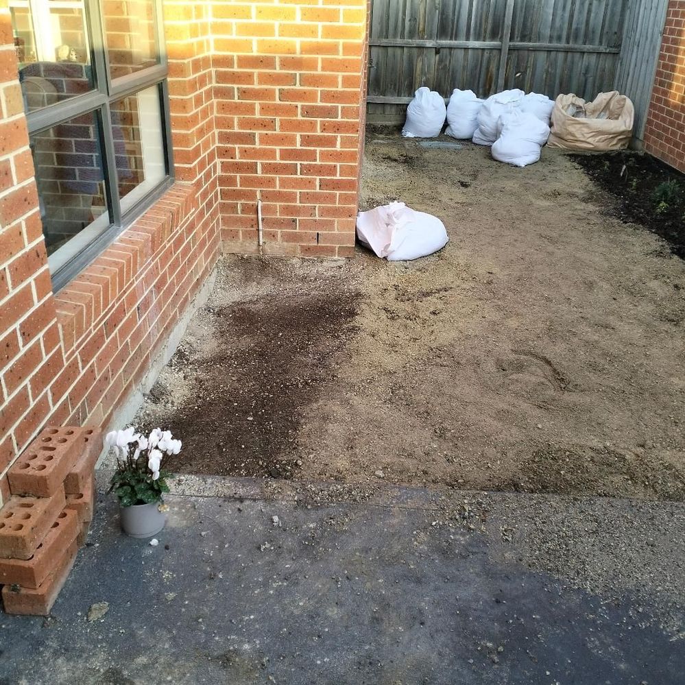 Digging out the garden bed part 2.jpg