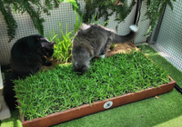 Screenshot 2025-10-21 at 4.07.48 pm.png