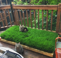 Screenshot 2025-10-21 at 4.06.13 pm.png