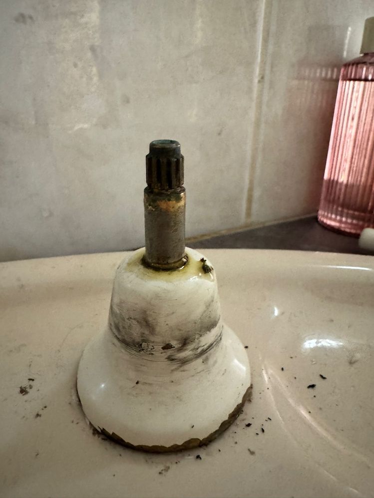 WhatsApp Image 2025-10-22 at 3.38.28 PM.jpeg