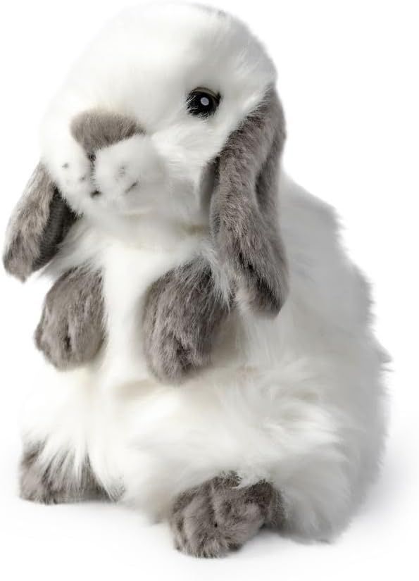 51-Q+HtY7ML._AC_SL1000_ (1).jpg