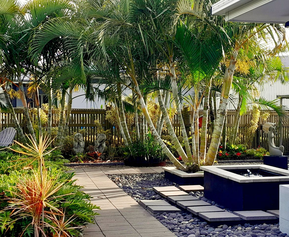 finished garden 220251025_063026.jpg