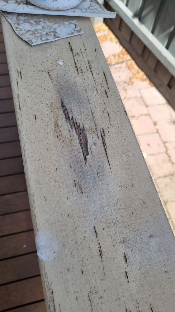 random bits of soft wood scraped out