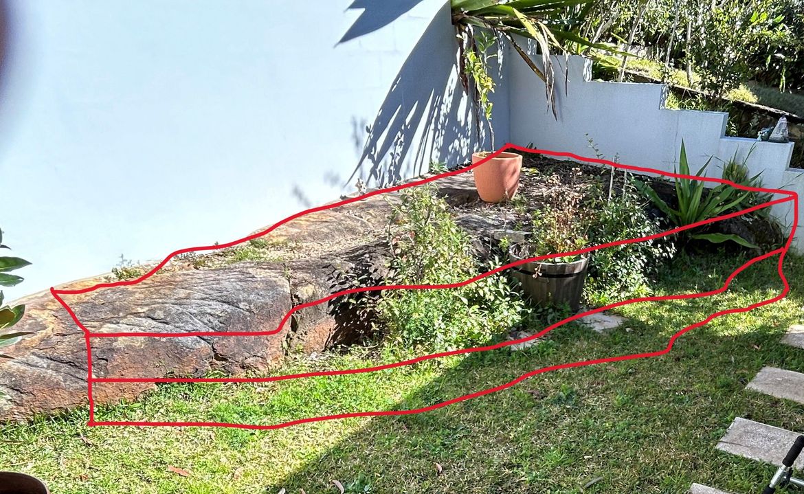 front yard - deck.jpg