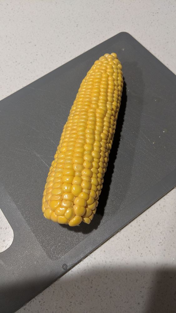 The first season corn was a huge success. This season with all the rain, they were riddled with pests.