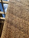 Treated cypress post-close up