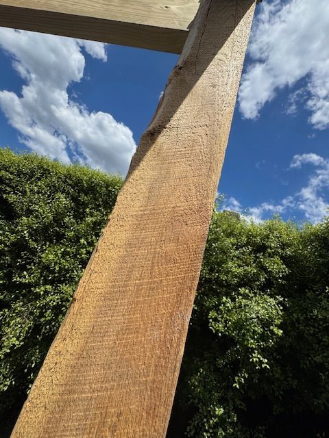 Treated cypress post