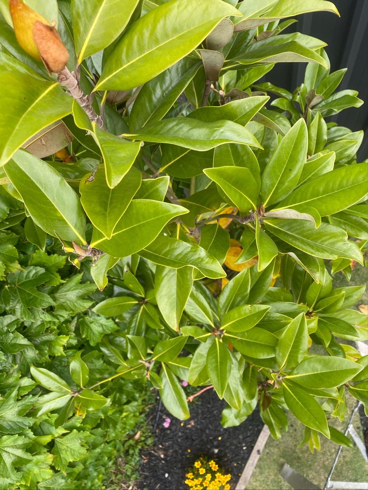 Image - 2025-10-31T112657.504.jpg