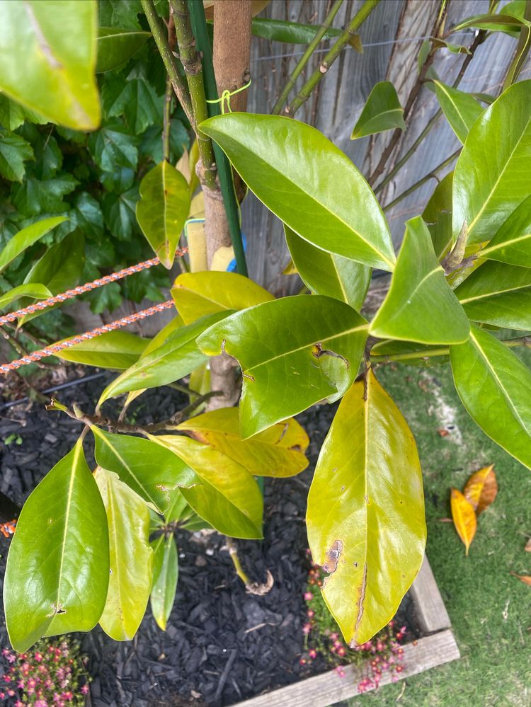 Image - 2025-10-31T112700.984.jpg