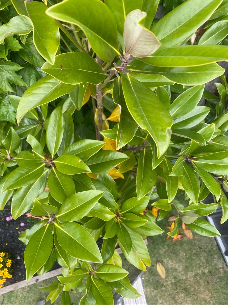 Image - 2025-10-31T112655.277.jpg