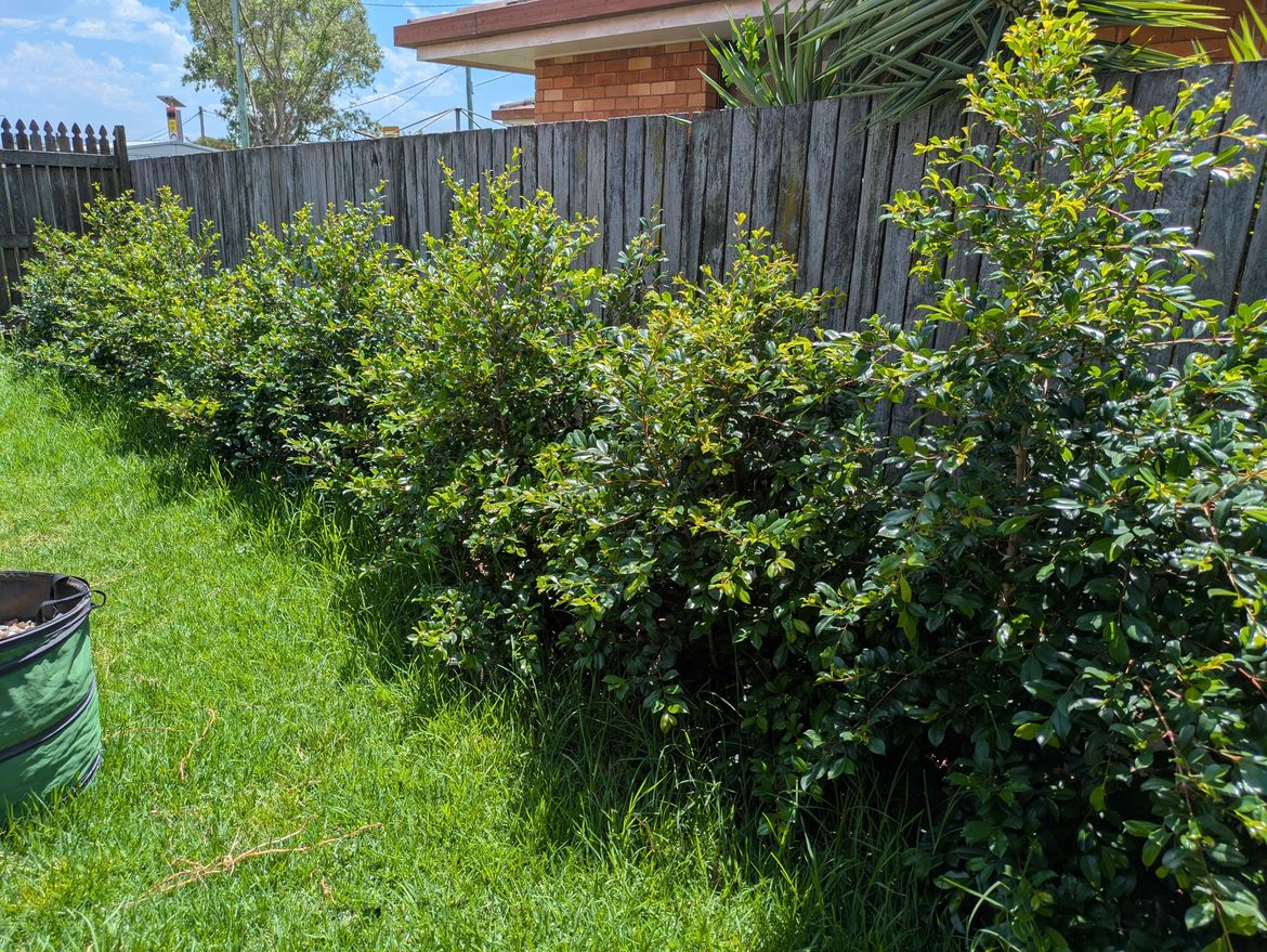 Please ignore the overgrown grass! :P