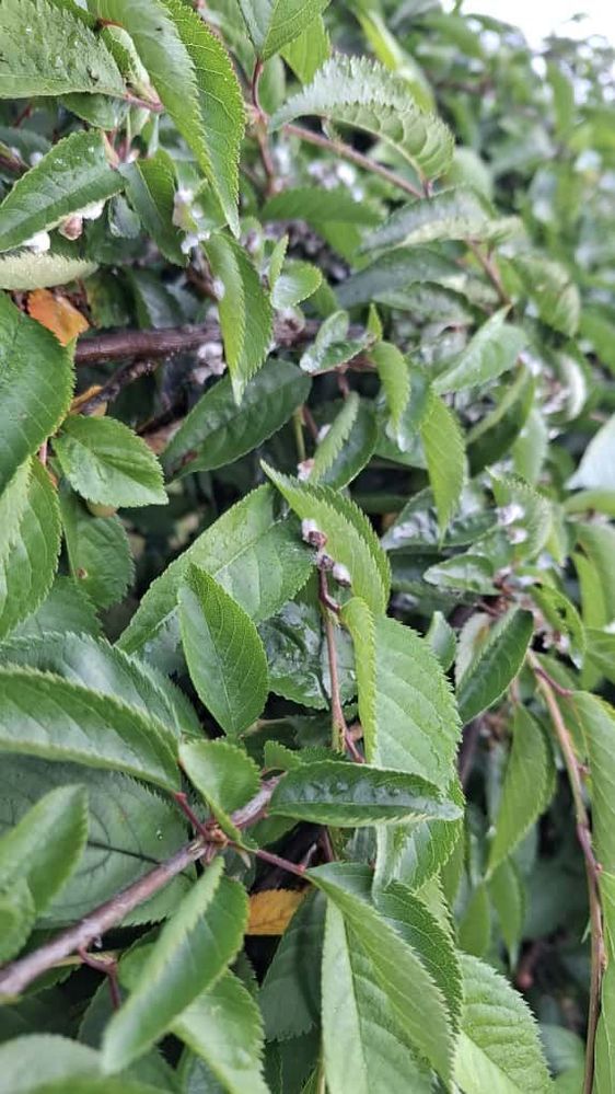 WhatsApp Image 2025-11-06 at 14.35.54_5ac821ad.jpg