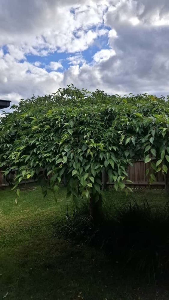 WhatsApp Image 2025-11-06 at 14.35.54_b39e41e9.jpg