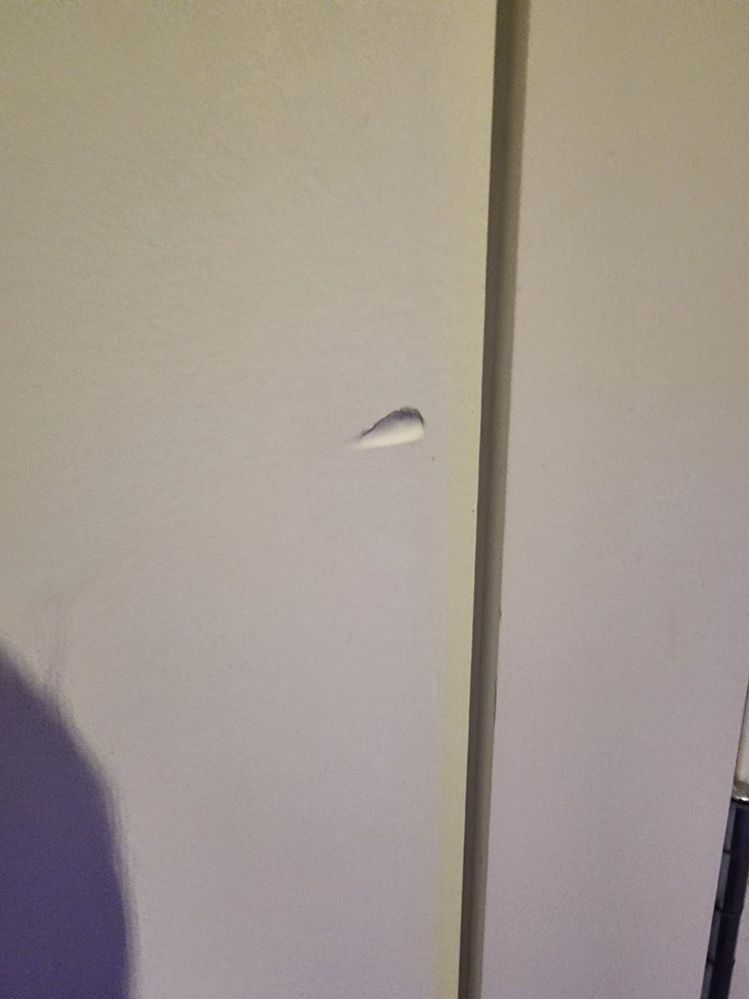 WhatsApp Image 2025-11-07 at 11.14.46_79b30b48.jpg