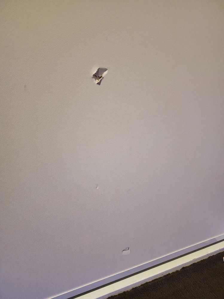 WhatsApp Image 2025-11-07 at 11.14.47_92aae975.jpg