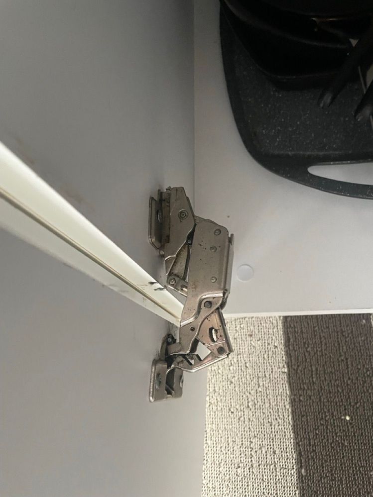 IMG_1763 2 Large.jpeg