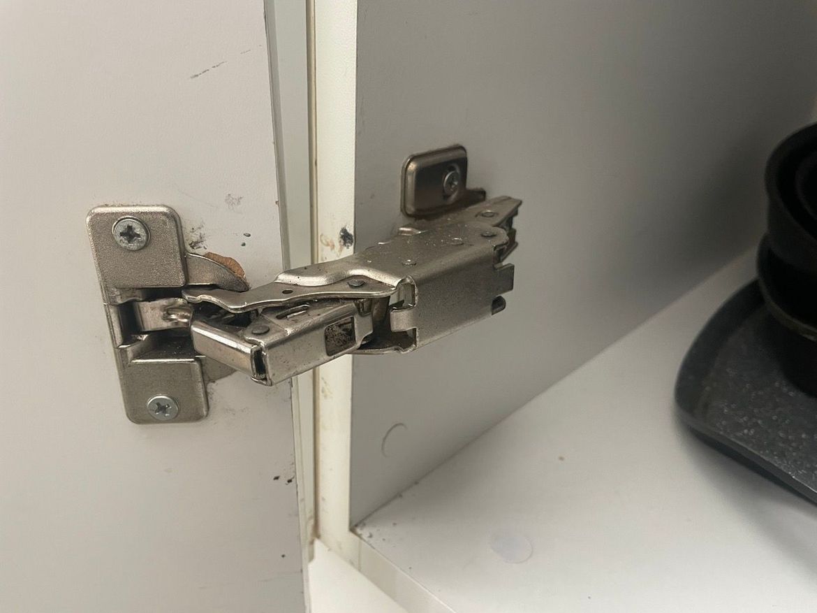 IMG_1764 2 Large.jpeg