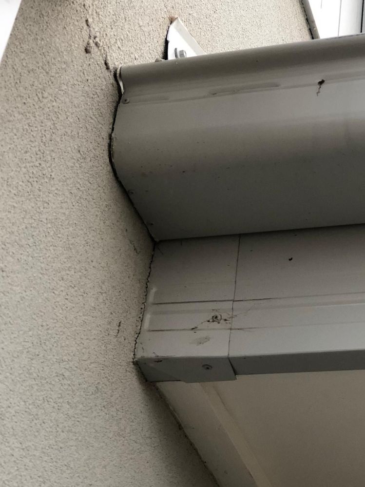 WhatsApp Image 2025-11-08 at 19.22.45.jpeg