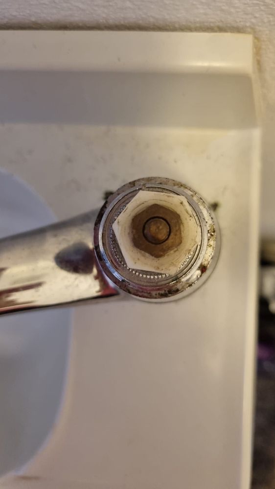 WhatsApp Image 2025-11-11 at 09.35.33.jpeg