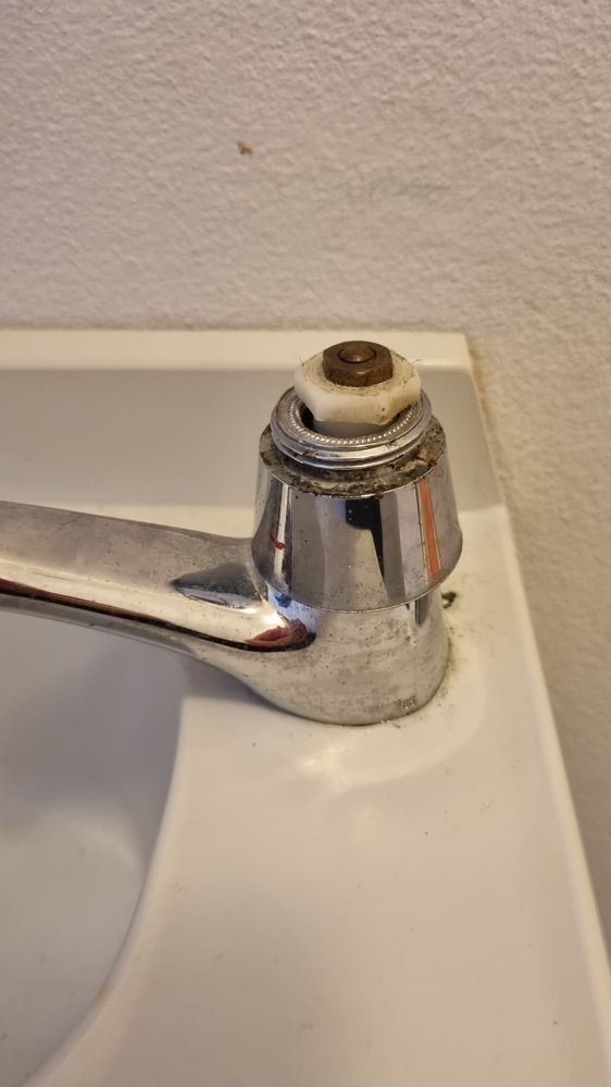 WhatsApp Image 2025-11-11 at 09.35.33 (1).jpeg