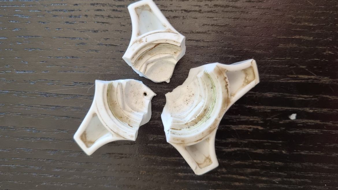 WhatsApp Image 2025-11-11 at 11.08.52.jpeg