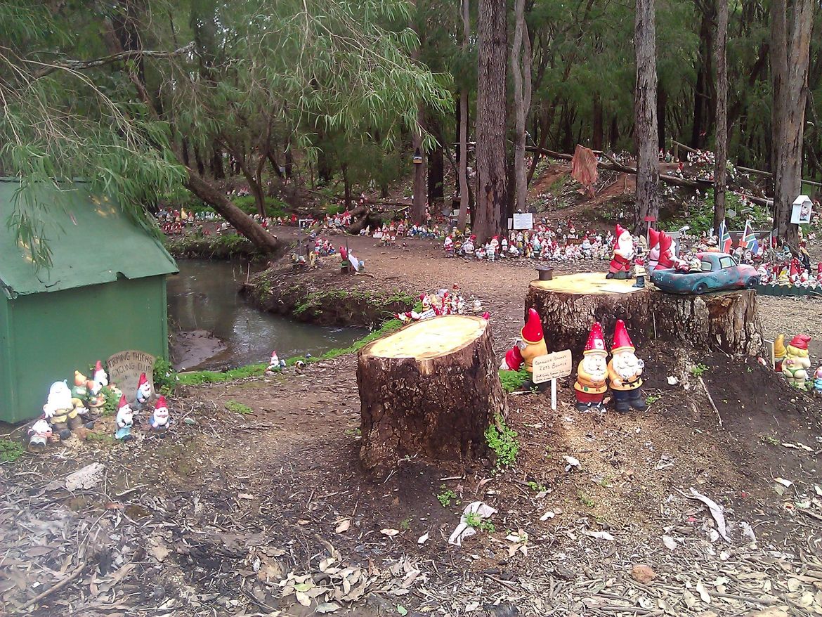 gnomesville clearing.jpg