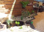 pond-patio.jpg
