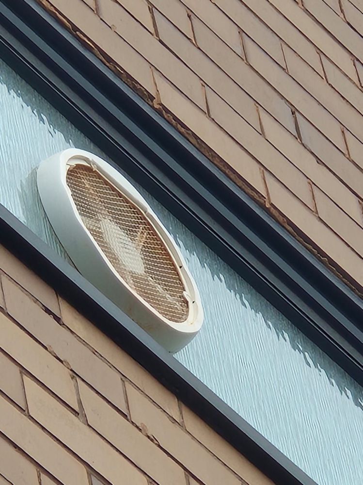 WhatsApp Image 2025-09-25 at 11.42.42_c0490d8d.jpg