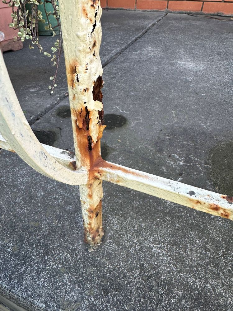 Before scraping and brushing