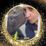 Profile (Transformingk9s)