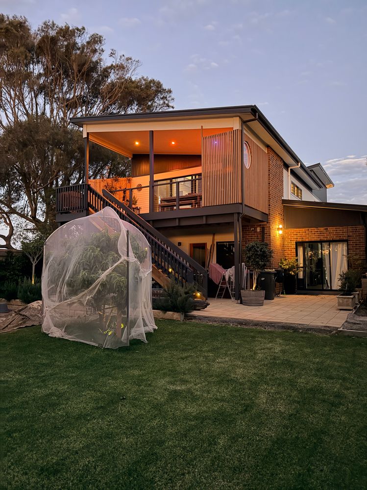 After Mowing the lawn and putting a bird net up to protect the peach tree over the weekend. Time to play with the new Phillips Hue lighting I got from @bunnings