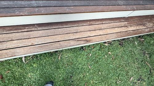 Library - 2 of 2.jpeg