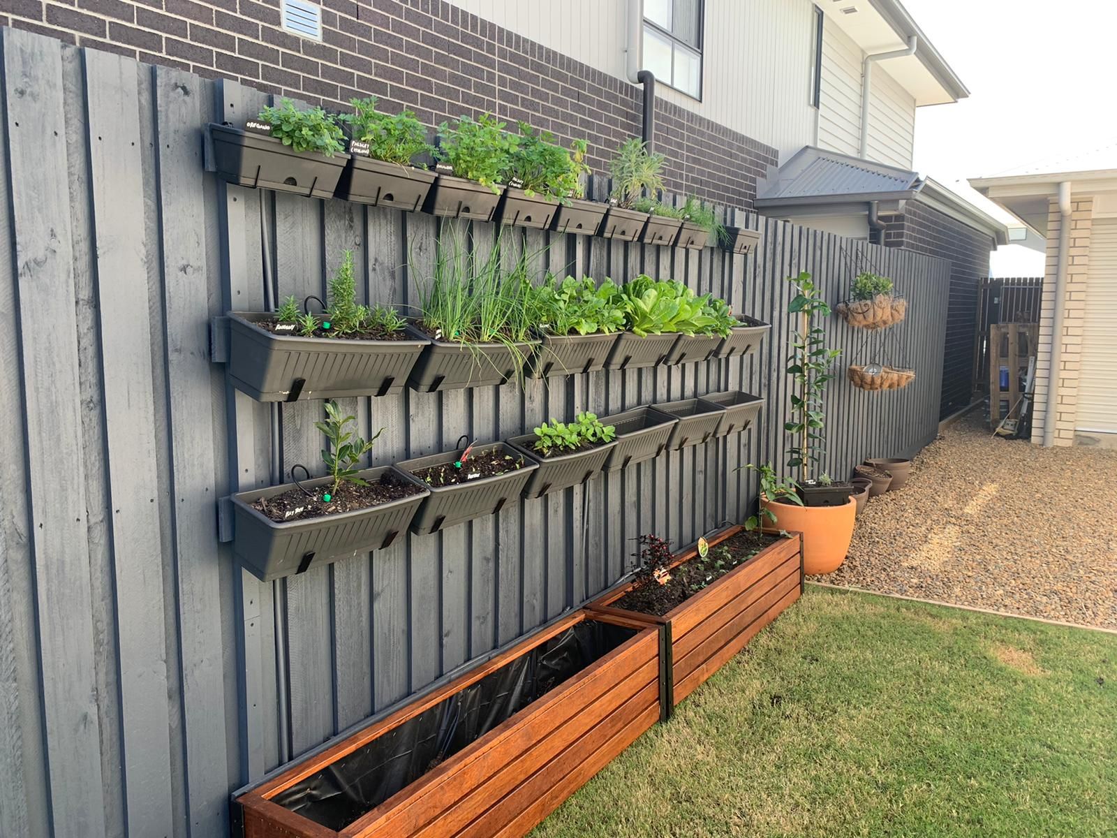 merbau planter boxes and vertical vegie bunnings