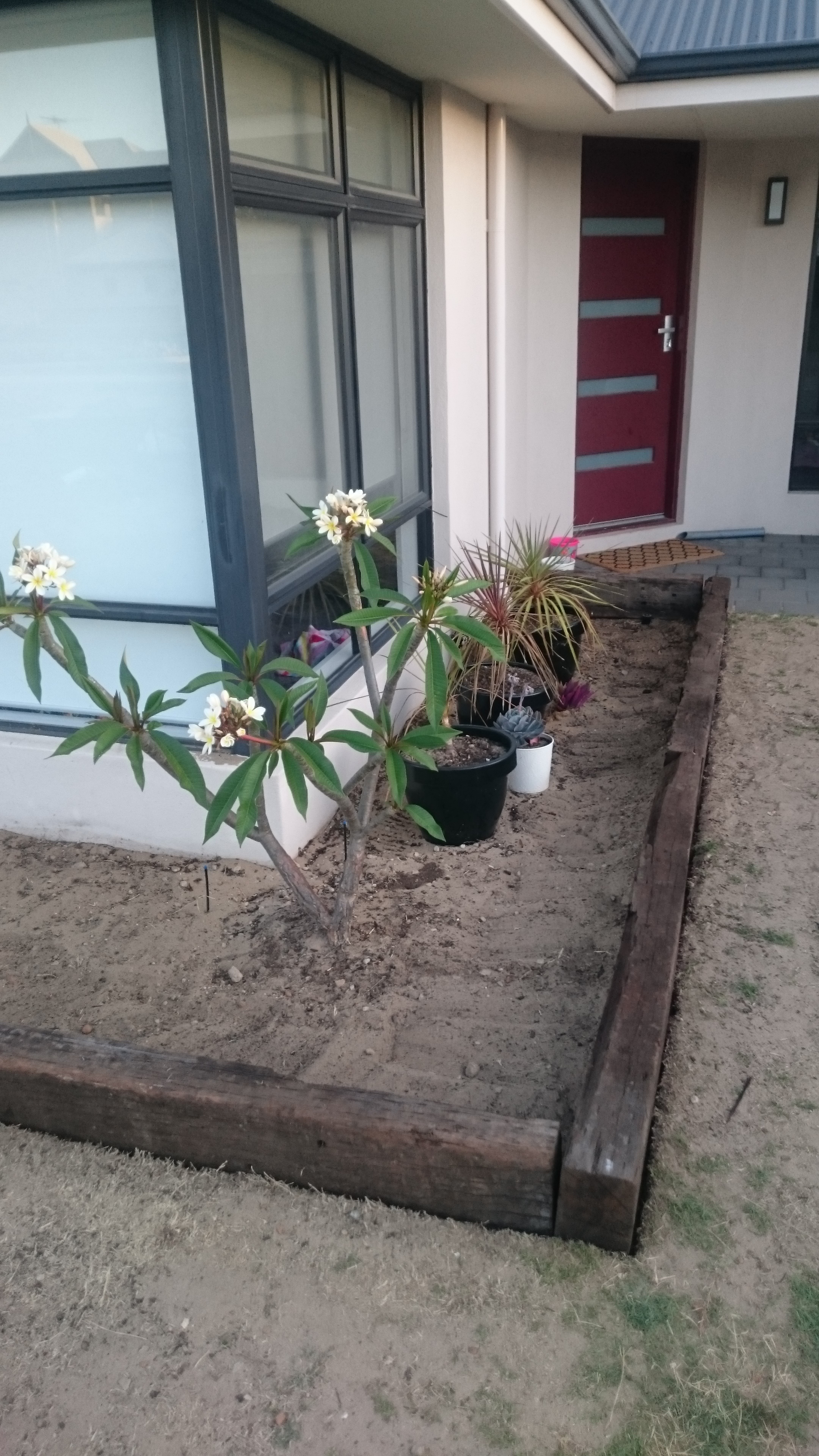 rustic railway sleeper garden bed Bunnings community