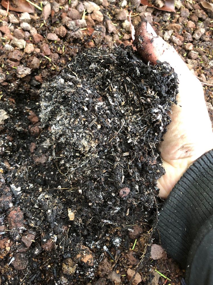 Soil 1.jpg