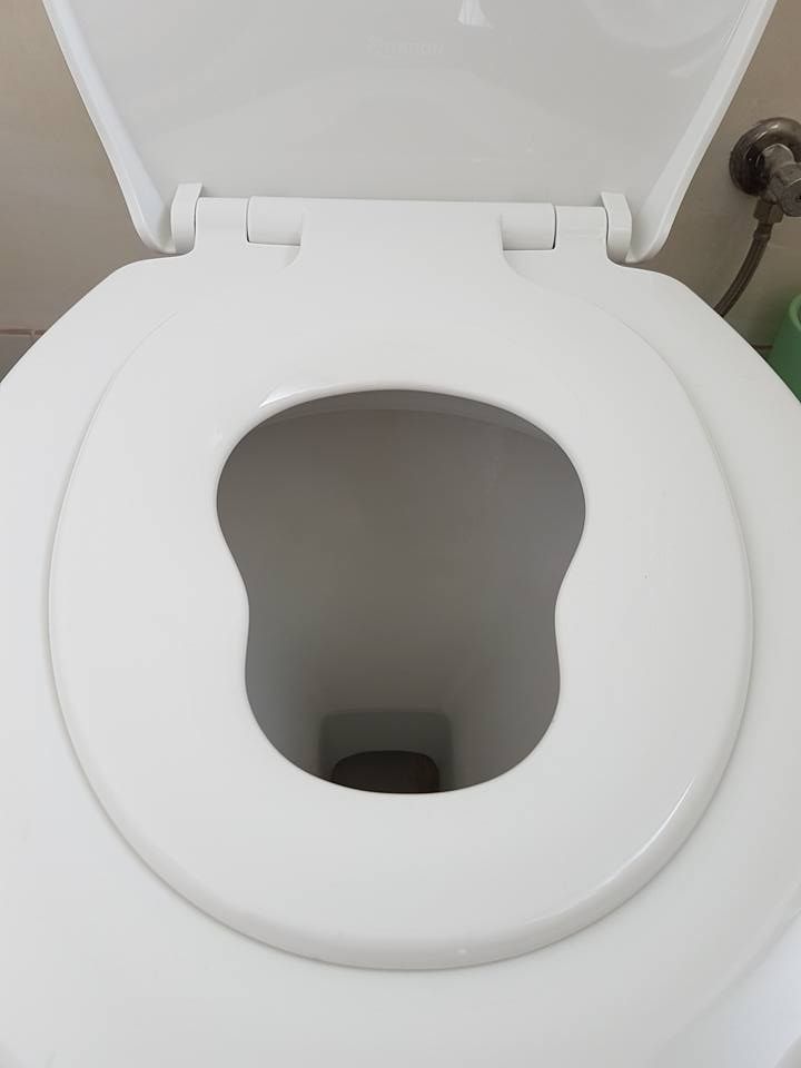 kidtoiletseatq.jpg