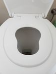 kidtoiletseatq.jpg