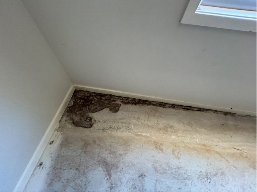 Screenshot 2025-12-04 144219.png