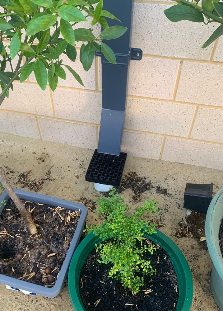 Potential drain to connect to?