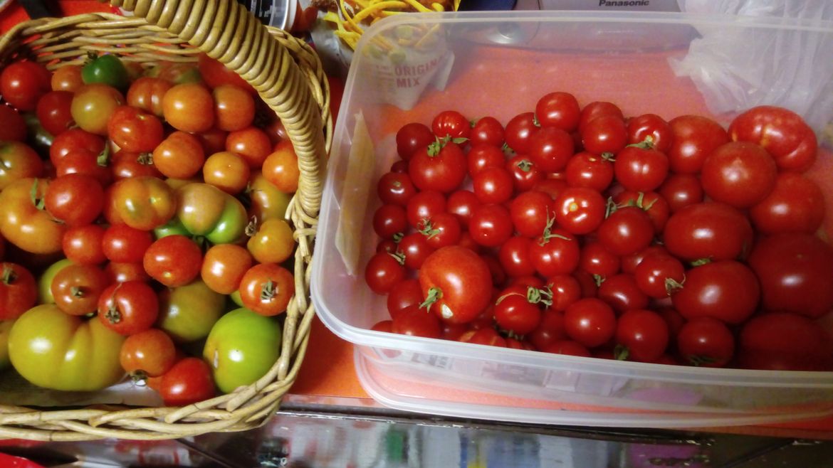 Plenty for more relish